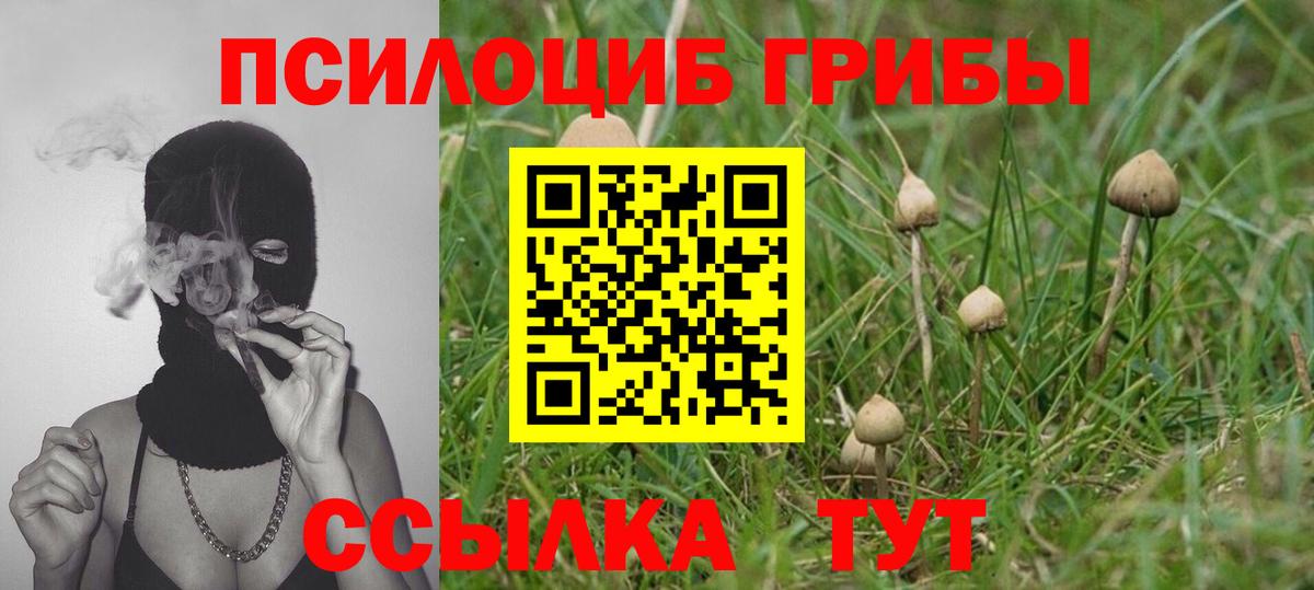 Псилоцибиновые грибы прущие грибы Борисоглебск
